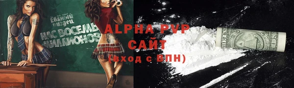 спиды Новодвинск