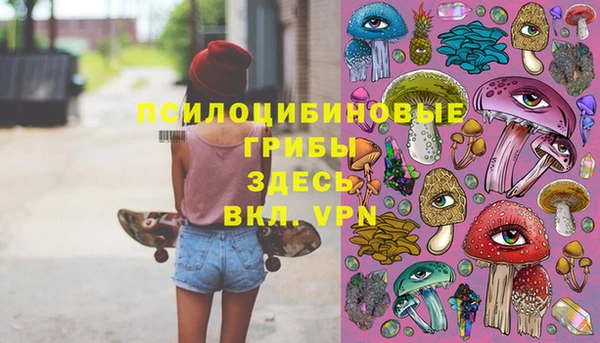 спиды Новодвинск