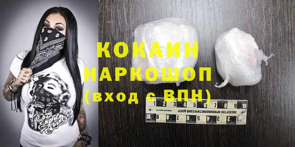 дмт Новозыбков