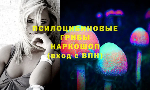 apvp Алексин