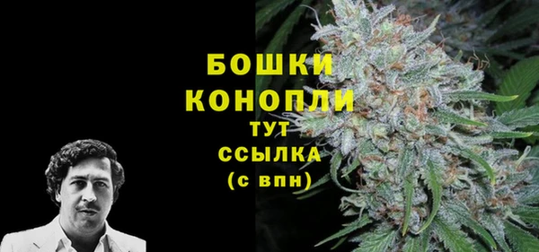 дмт Новозыбков