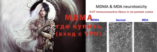 спиды Новодвинск
