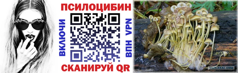 Псилоцибиновые грибы ЛСД  купить  цена  Калач-на-Дону 