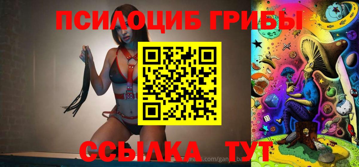 Псилоцибиновые грибы Psilocybine cubensis Калач-на-Дону