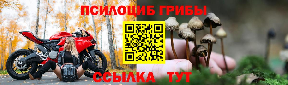 Галлюциногенные грибы GOLDEN TEACHER Калач-на-Дону